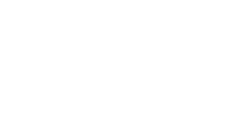 Finllet